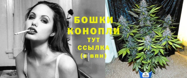 стафф Анива