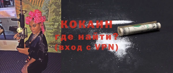 индика Апатиты