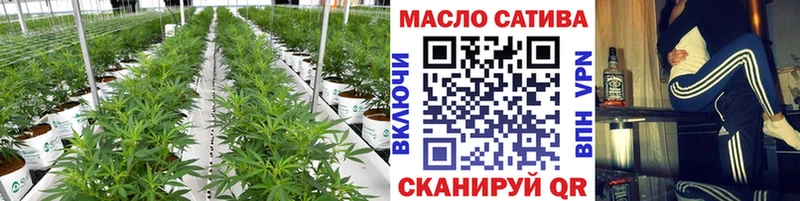 ТГК THC oil  мега онион  Шагонар 