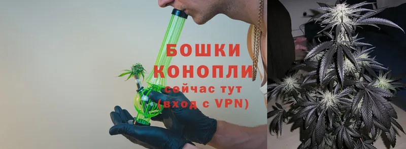 Шишки марихуана Bruce Banner  купить   Шагонар 